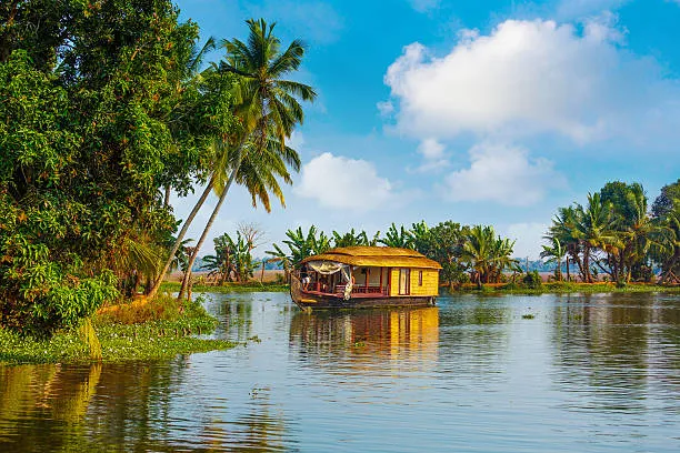 hut floating in the backwater canal of goa